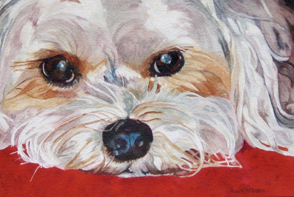 Click here to view Animal artwork by Sharon Peterson