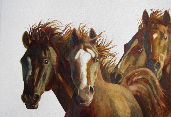 Click here to view "Dark Horse" by Sharon Peterson